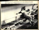 1978 World Series New York Yankees Los Angeles Dodgers The Sporting News Collection Archives Original Photos (Sporting News Collection Hologram/MEARS Photo LOA) - Lot of 71