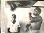 1965-70 Cassius Clay / Muhammad Ali "The Denver Post Photo Archives" Original Photos (Denver Post Archives Hologram/MEARS Photo LOA) - Lot of 12