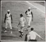1967 Detroit Tigers Kansas City A's Brawl TSN Collection Archives Original First Generation Choice Jumbo Oversized Photos (TSN Collection Hologram/MEARS Photo LOA) 1:1, Unique - Lot of 7