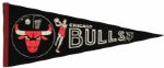 1960s Chicago Bulls Pennant