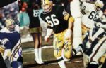 1990s Ray Nitschke Green Bay Packers Signed 8" x 10" - Lot of 3 - JSA