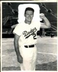 1949 Kevin Connors Brooklyn Dodgers "The Sporting News Collection Archives" Original 8" x 10" Photo (Sporting News Collection Hologram/MEARS Photo LOA)