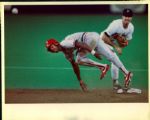 1987 World Series Minnesota Twins St. Louis Cardinals The Sporting News Collection Archives Original Photos (Sporting News Collection Hologram/MEARS Photo LOA) - Lot of 74