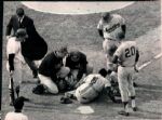 1947-71 Ted Williams Boston Red Sox Washington Senators The Sporting News Collection Archives Original Photos (Sporting News Collection Hologram/MEARS Photo LOA) - Lot of 8