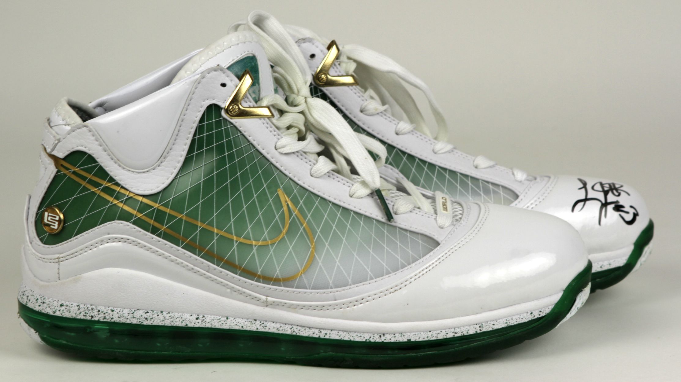 lebron signature shoe