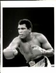 1966-96 Cassius Clay / Muhammad Ali The Denver Post Photo Archives Original Photos (Denver Post Archives Hologram/MEARS Photo LOA) - Lot of 13