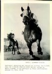 1938 Seabiscuit War Admiral Modern Print "The Sporting News Collection Archives" Original Photo (Sporting News Collection Hologram/MEARS Photo LOA)