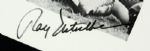 1970s-96 Ray Nitschke Green Bay Packers Signed 8 x 10 - Lot of 3 - JSA 