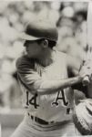 1969-71 Oakland A's The Sporting News Collection Archives Original First Generation 9 x 12 Choice Jumbo Oversized Photo - Lot of 28 (TSN Collection Hologram/MEARS Photo LOA) 1:1, Unique