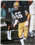 1990s Ray Nitschke Green Bay Packers Signed 16" x 20" Photo "H.O.F. 1978" - JSA