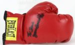 James "Bonecrusher" Smith Signed Everlast Boxing Glove - JSA 