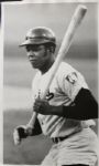 1969-71 Minnesota Twins The Sporting News Collection Archives Original First Generation 9 x 12 Choice Jumbo Oversized Photo - Lot of 24 (TSN Collection Hologram/MEARS Photo LOA) 1:1, Unique
