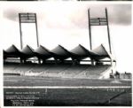 1961-62 Puerto Rican Winter League The Sporting News Collection Archives Original Photos (Sporting News Collection Hologram/MEARS Photo LOA) - Lot of 14