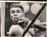 1964-72 Cassius Clay / Muhammad Ali The Denver Post Photo Archives Original Photos (Denver Post Archives Hologram/MEARS Photo LOA) - Lot of 12