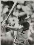 1969-71 Oakland A's The Sporting News Collection Archives Original First Generation 9 x 12 Choice Jumbo Oversized Photo - Lot of 28 (TSN Collection Hologram/MEARS Photo LOA) 1:1, Unique