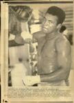 1960s to 1980s Cassius Clay / Muhammad Ali The Denver Post Photo Archives Original Photos (MEARS Photo LOA) - Lot of 226