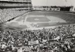 1964-86 New York Mets TSN Collection Archives Original First Generation Choice Jumbo Oversized Photos (TSN Collection Hologram/MEARS Photo LOA) 1:1, Unique - Lot of 11