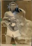 1963-78 circa Muhammad Ali The Chicago Sun Times Archives Original Photos (Chicago Sun Times Archive Hologram/MEARS Photo LOA) - Lot of 12