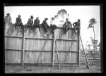 1900s Detroit Wildcats Stadium Glass File Negative (The Detroit News Hologram/MEARS Auction LOA) - Lot of 7