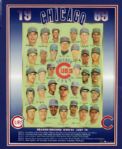 1969 Chicago Cubs Team Signed Display With 47 Signatures - JSA 