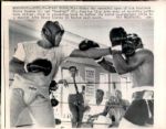 1964-76 Cassius Clay / Muhammad Ali "The Chicago Sun Times Archives" Original Photos (Chicago Sun Times Hologram/MEARS Photo LOA) - Lot of 12