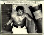 1970s to 1990s Muhammad Ali The Sporting News Collection Archives Original Photos (Sporting News Collection Hologram/MEARS Photo LOA) - Lot of 77