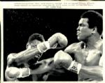 1970s to 1990s Muhammad Ali The Sporting News Collection Archives Original Photos (Sporting News Collection Hologram/MEARS Photo LOA) - Lot of 77
