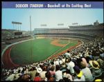 1960s Los Angeles Dodgers Postcard - Lot of 12 