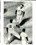 1926-82 Ted Williams Boston Red Sox The Sporting News Collection Archives Original Photos & Modern Print (Sporting News Collection Hologram/MEARS Photo LOA) - Lot of 19