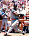 1886-1995 Detroit Tigers The Sporting News Collection/SPORT Magazine Archives Modern Photos (Mears Photo LOA) - Lot of  650