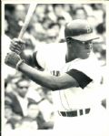 1966-79 George Scott Boston Red Sox Milwaukee Brewers The Sporting News Collection Archives Original Photos (Sporting News Collection Hologram/MEARS Photo LOA) - Lot of 6