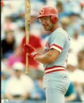 1904-95 Cincinnati Reds The Sporting News Collection/SPORT Magazine Archives Modern Photos (MEARS Photo LOA) - Lot of  900