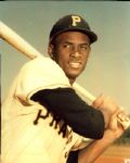 1891-1995 Pittsburgh Pirates The Sporting News Collection/SPORT Magazine Archives Modern Photos (Mears Photo LOA) - Lot of  800
