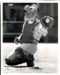 1904-95 Cincinnati Reds The Sporting News Collection/SPORT Magazine Archives Modern Photos (MEARS Photo LOA) - Lot of  900