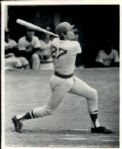 1900-95 Boston Red Sox TSN Collection Archives/SPORT Magazine Archives Modern Photos (MEARS Photo LOA) - Lot of 1150