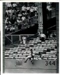 1890s to 1959 Washington Senators TSN Collection Archives/SPORT Magazine Archives Modern Photos (MEARS Photo LOA) - Lot of 250