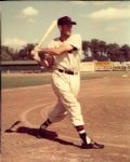 1890s to 1959 Washington Senators TSN Collection Archives/SPORT Magazine Archives Modern Photos (MEARS Photo LOA) - Lot of 250