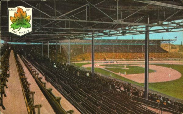 Maple Leaf Stadium Toronto Canada Postcard