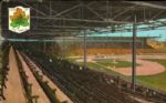Maple Leaf Stadium Toronto Canada Postcard