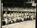 1950 St. Louis Cardinals Gashouse Gang "The Sporting News Collection Archives" Original Photo (Sporting News Collection Hologram/MEARS Photo LOA)