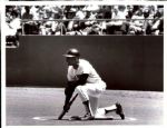 1951-93 Willie Mays NY/SF Giants NY Mets The Sporting News Collection Archives Original Photos (Sporting News Collection Hologram/MEARS Photo LOA) - Lot of 42
