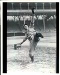 1891-1995 Chicago Cubs The Sporting News Collection/SPORT Magazine Archives Modern Photos (Mears Photo LOA) - Lot of  750