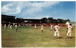 1950s Milwaukee Braves Postcard - Lot of 11