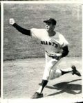 1890s-1995 circa New York / San Francisco Giants TSN Collection Archives/SPORT Magazine Archives Modern Photos (MEARS Photo LOA) - Lot of 550