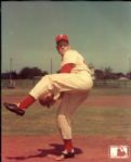 1890-1995 Philadelphia Phillies The Sporting News Collection/SPORT Magazine Archives Modern Photos (Mears Photo LOA) - Lot of  625
