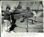 1926-82 Ted Williams Boston Red Sox The Sporting News Collection Archives Original Photos & Modern Print (Sporting News Collection Hologram/MEARS Photo LOA) - Lot of 19