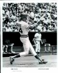 1904-95 Cincinnati Reds The Sporting News Collection/SPORT Magazine Archives Modern Photos (MEARS Photo LOA) - Lot of  900