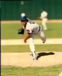 1891-1995 Chicago Cubs The Sporting News Collection/SPORT Magazine Archives Modern Photos (Mears Photo LOA) - Lot of  750