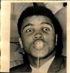 1963 Muhammad Ali Original Photo (MEARS Photo LOA)