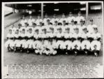 1951 New York Yankees Original 15 1/2" x 12" Oversized Photo From Chicago Sun Times With Mickey Mantle - MEARS 
